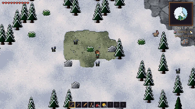 Schneebedeckter Boden mit verschneiten Kiefern und einer aufgetauten Grasfläche.